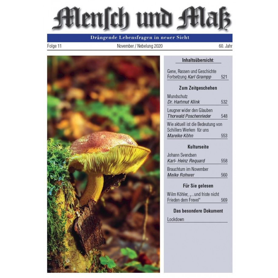 2020/11 Mensch und Maß Druckausgabe